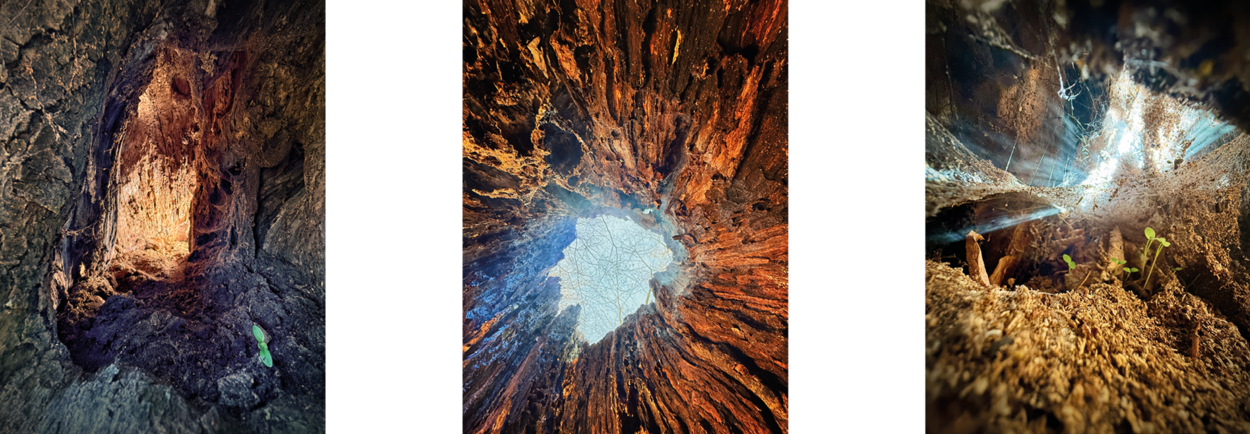 Atrium Sacrum___11.png